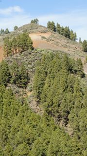 2019-02-GC-Pico_Nieves-PM-NN-55.JPG